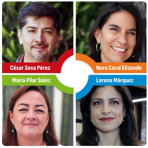 Idico Grupo Interdiciplinario de profesionales